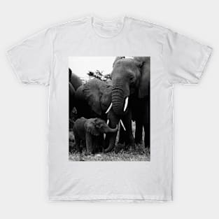 Vintage Kenya Elephants T-Shirt